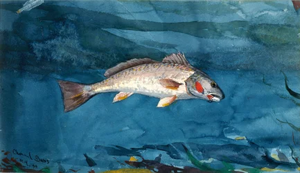 Channel Bass